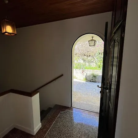 Seaside Jungle Retreat