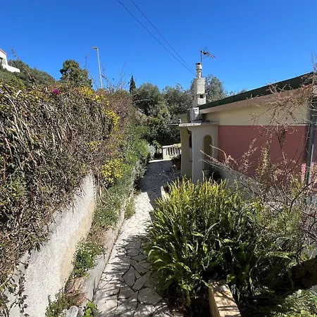 Seaside Jungle Retreat Villa Nizza