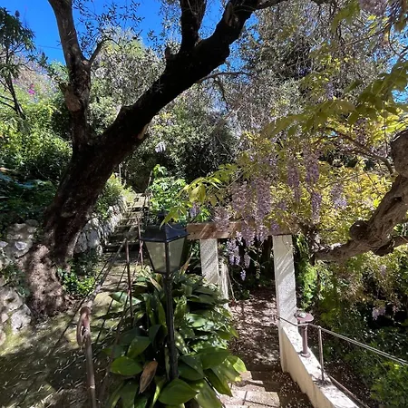 Seaside Jungle Retreat Nicea