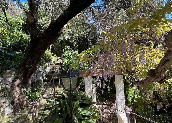 Seaside Jungle Retreat Nice